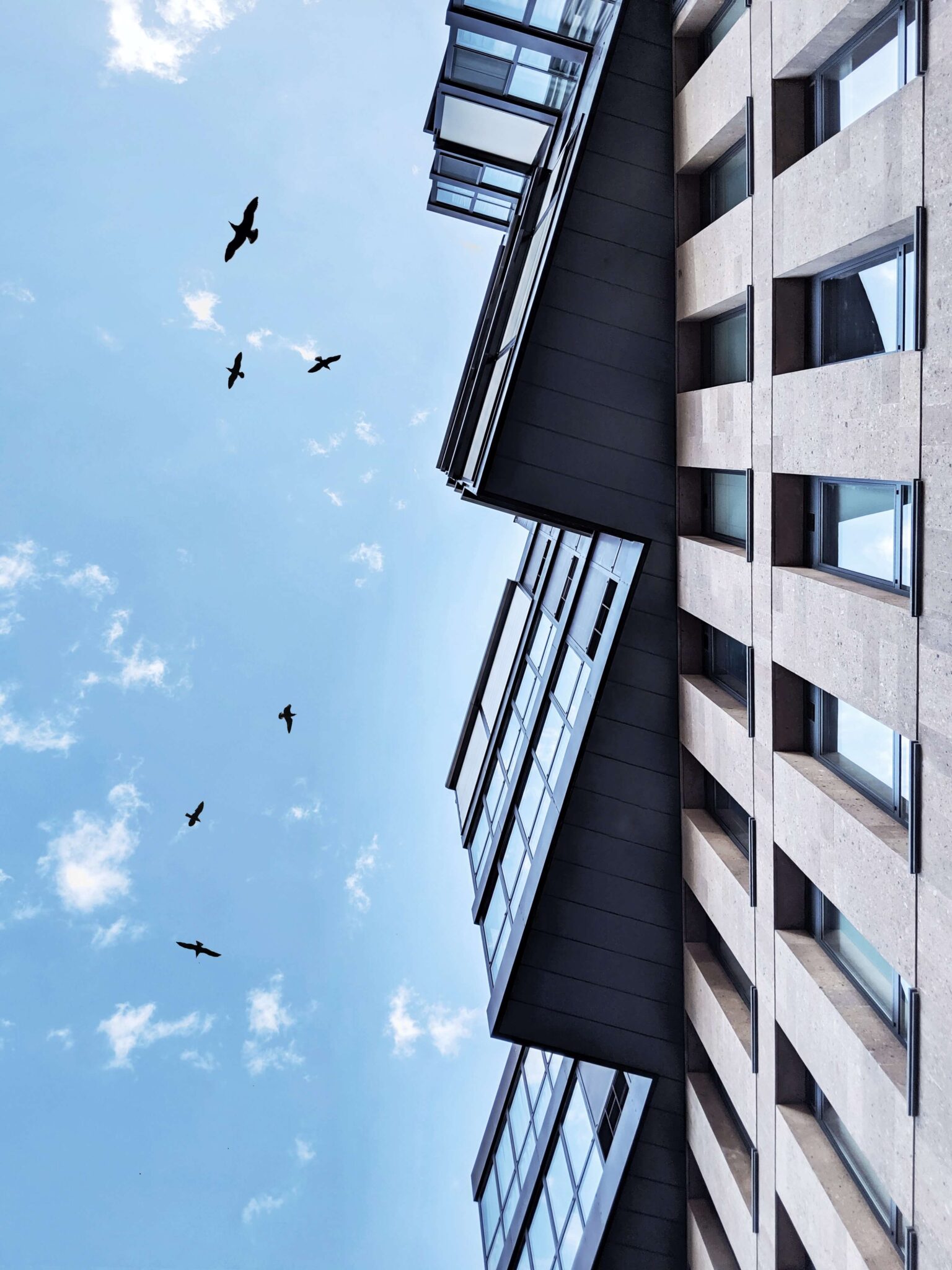 Cruse Capital Property Management